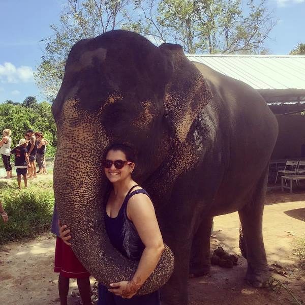 viaje a tailandia san jordi reserva de elefantes